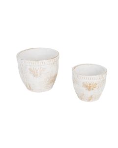 GOLD BEE WHITE WASHED CEMENT FLOWER POT SET/2